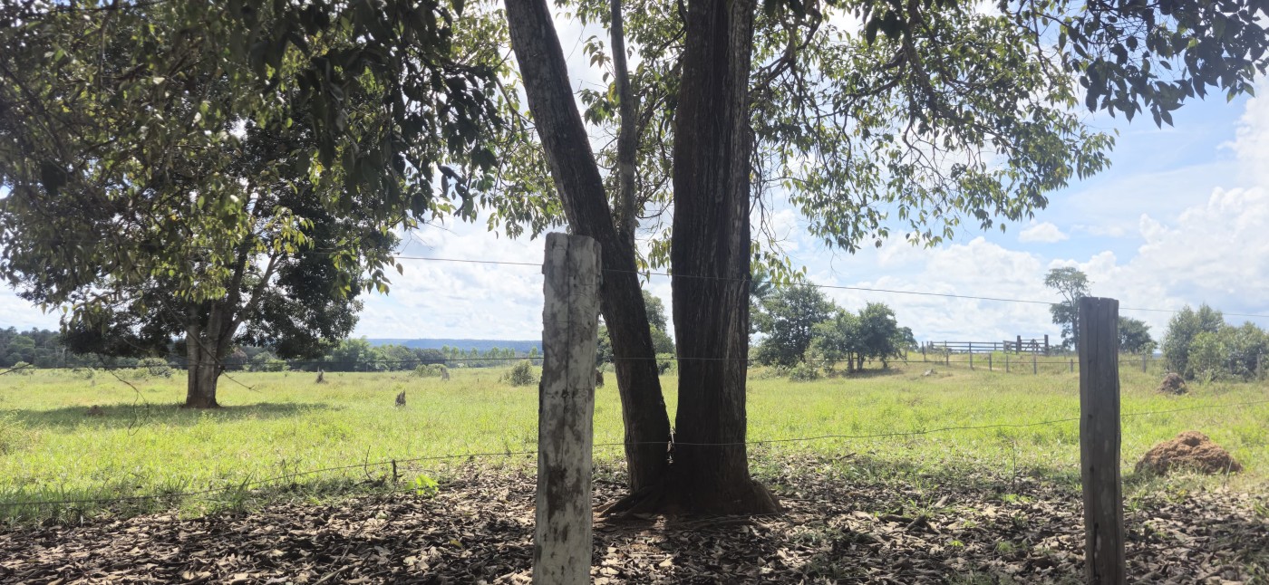 Chácara, 50 hectares - Foto 1