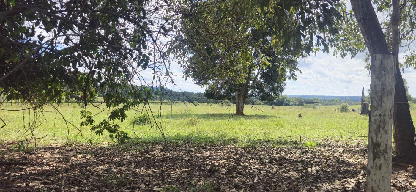 Chácara, 50 hectares - Foto 2