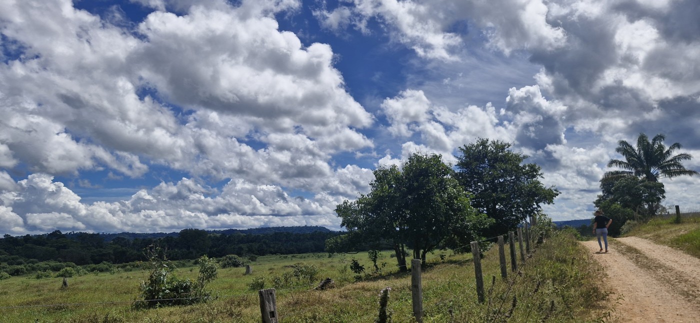 Chácara, 50 hectares - Foto 5