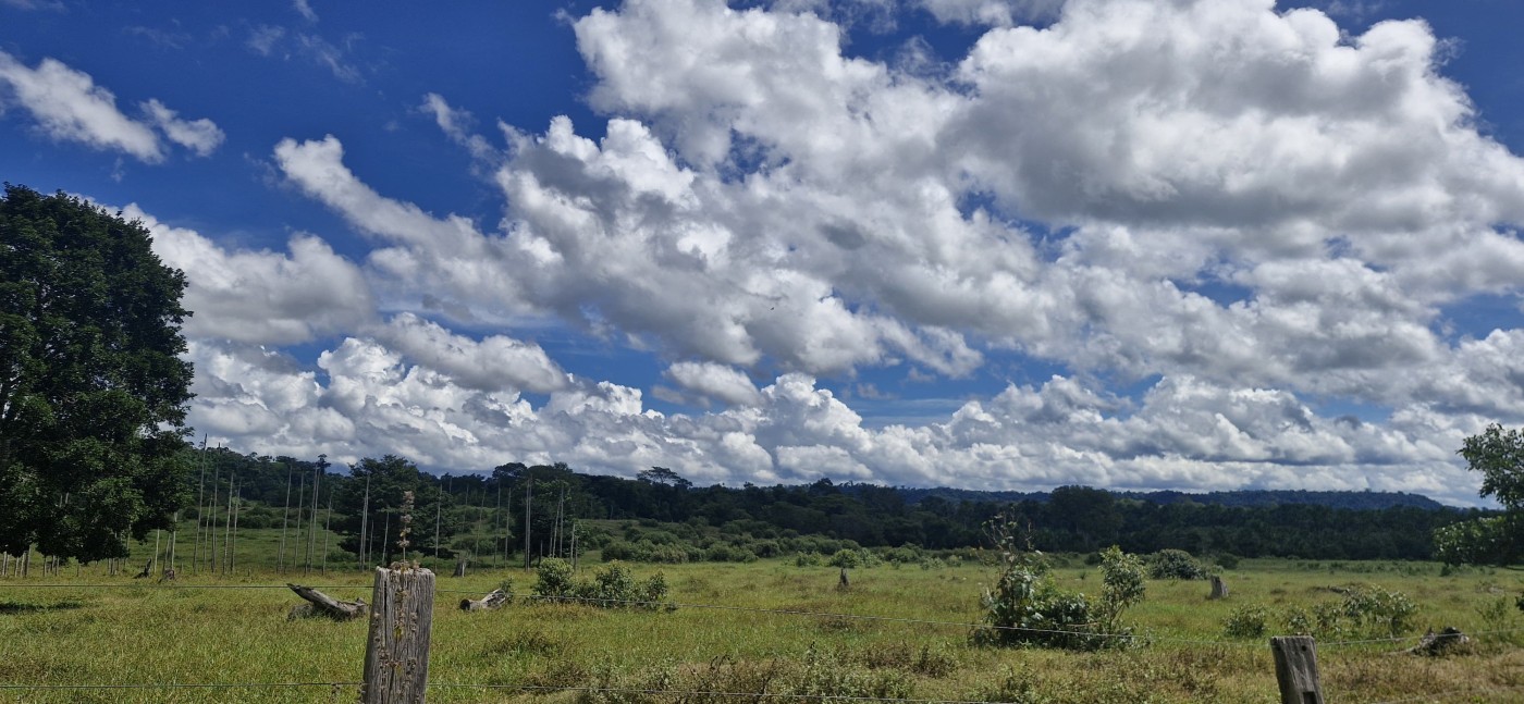 Chácara, 50 hectares - Foto 6